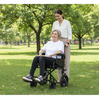 Silla de Ruedas Plegable para Personas Mayores (Ancho del Asiento 15", 16", 17", 18", 19", 20"), Sillas de Ruedas Manuales para Adultos Mayores PEPE P10033