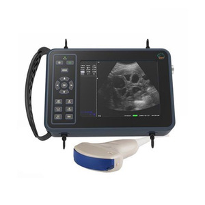 La sonde saillante de scanner vétérinaire de machine d'ultrason de bétail portative est utilisée pour la grossesse des chèvres, des porcs et des chevaux - Product Image 1