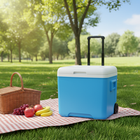 Ensemble de glacières isothermes portables pour pique-nique, camping, extérieur, stockage de nourriture avec poignées