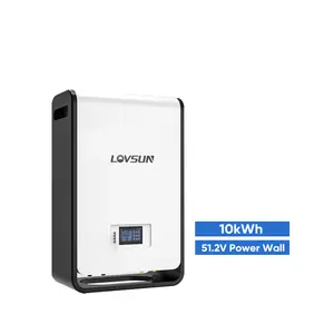 48V 100ah 5kwh Muur Batterij 51.2V 200ah 10kwh Power Wall Lithium Batterij Zonne-Energie Back-Up Batterij