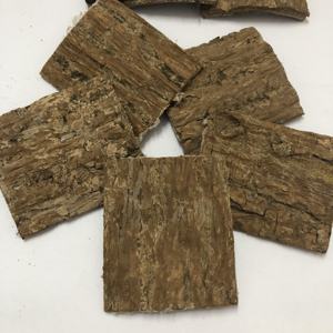 קליפת עץ אוקומייה אולמואידס טבעית, מיובשת, טהורה, בריאה ופופולרית למכירה - Product Image 3