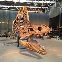 İskelet Dinozor Heykeli Jurassic Dinozor Fosili Modeli Eğitim Arkeolojisi Dinozor Fosili Müzesi Dinozor Fosili