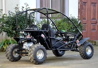2020 EGS pas cher 125cc/800cc buggy/dune buggy/buggy 4x4 pour adultes passer le certificat CE chaud en vente
