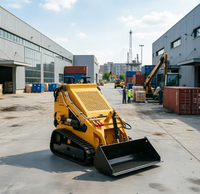Chargeuse compacte refroidie par eau 1T |   Excavatrice sur chenilles robuste certifiée CE, directement de l'usine
