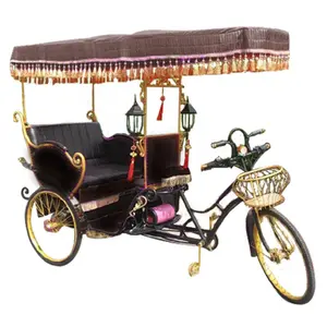 Bicicleta eléctrica de tres ruedas, triciclo eléctrico con asiento de pasajero, gran oferta