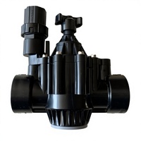 Válvula Solenoide Rain Bird 150PGA 200PGA DN50 de 2 Pulgadas AC24V DC, Válvula de Control de Agua Automática para Jardín y Granja, Válvula de Plomería