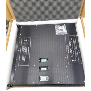 โมดูลรีเลย์เอาต์พุต 3636R ของแท้ 100% ใหม่เอี่ยม - Product Image 5