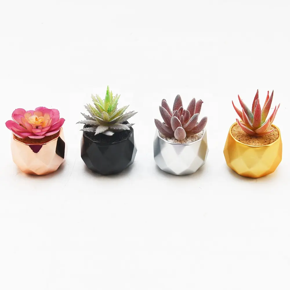 Suculentas artificiais para interior em forma de dente vaso suculento moderno planta artificial decorado flores de plástico suculentas