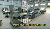 Stérilisateur alimentaire automatique pour la fabrication de boulettes et de pains vapeur - Haute efficacité, multi-tension (110V/220V/380V/440V)