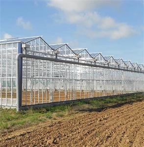 Fournitures d'usine Kit de culture hydroponique <span class=keywords><strong>jardin</strong></span> agricole écologique utilisé éponge hydroponique de plante de graine - Product Image 4