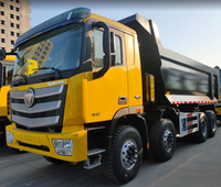 Camions à benne basculante Foton Auman Tripper d'occasion, poids lourd, 460 ch, 5,6 m, 6x4, à vendre