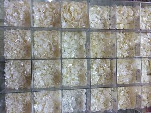 Fabrieksgroothandel witte bloemvormige, volledig bewerkte Hawaiiaanse parelmoer schelp voor DIY sieraden - Product Image 2