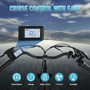 Điện thành phố xe đạp Trọng lượng nhẹ thép carbon cao Ebike 48V 7.8ah chu kỳ pin hai chỗ ngồi xe đạp với ga - Product Image 6