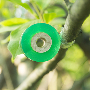 Cinta de <span class=keywords><strong>injerto</strong></span> elástica para jardinería, cinta de floristería, película de parafilm para injertos de jardín - Product Image 2