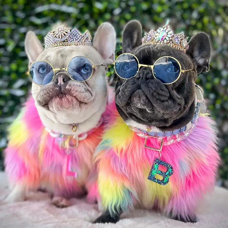 Designer Luxury Pet Clothes Pink Faux Fur Pet Dog Dress Hand Made Dog Coat