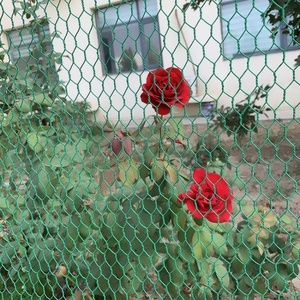 ตาข่ายลวดหกเหลี่ยมเคลือบพีวีซีสีเขียว รั้วไวนิลเคลือบสำหรับป้องกันสวนและจัดสวน - Product Image 1