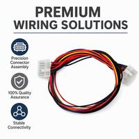 Harness Kabel OEM dan After Market Khusus dengan Isolasi Nilon untuk Lampu Proyektor LED dan Sistem Elektronik