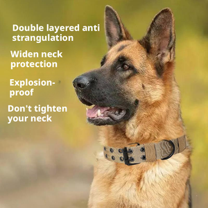 Collares para Mascotas Clásicos de Nailon Ajustables y Resistentes al por Mayor de China, <span class=keywords><strong>Collar</strong></span> <span class=keywords><strong>Martingale</strong></span> para Perros para Pasear, Trotar y Entrenar - Product Image 3