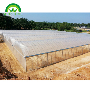 Serra Multi-span su larga scala adatta per le imprese <span class=keywords><strong>agricole</strong></span> - Product Image 6