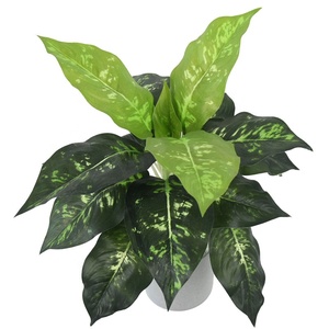 19 <span class=keywords><strong>foglie</strong></span> grandi <span class=keywords><strong>foglie</strong></span> di seta autunnali piante artificiali di Aglaonema per la decorazione della parete - Product Image 5