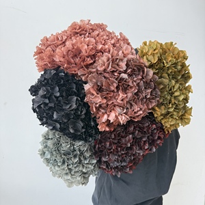 Fiori di Ortensia a Foglia Grande Conservati per Composizioni Floreali, Fiori Eterni Bordeaux per Matrimoni, Materiale Fai-da-Te Direttamente dalla Fabbrica - Product Image 5