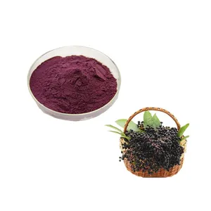 Hot sale Organic elderberry extract Elderberry extract powder Elderberry fruit extract