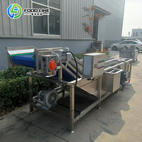 Fruit- en groentereinigingslijn multifunctionele belletjeswasmachine