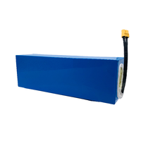 LiNiCoMn Vollständig Sicherheitsgeschütztes BMS E-Fahrrad-Akku Tragbarer Wiederaufladbarer Effizienter Stabiler Lithium-Ionen-Akkupack 48V 12Ah