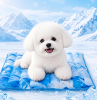 Tapis rafraîchissant pour animaux de compagnie, respirant, personnalisé, réutilisable, non toxique, imperméable, pliable, en gel, écologique, doux, durable, pour chat et chien