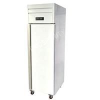 Refrigerador Comercial Vertical de Acero Inoxidable de Una Puerta, Enfriado por Aire, con Bandeja para Exhibición de Bandejas GN