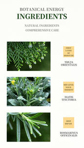 Ensemble de réparation capillaire professionnel Greenlem Usman - Shampooing et après-shampoing à base de plantes sans sulfate, hydratant, antipelliculaire pour cheveux abîmés - Product Image 6