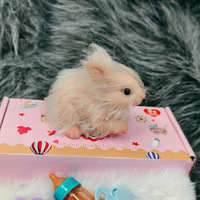 Poupée réaliste en silicone de 12 cm, lapin reborn, jouet reborn écologique, figurine d'animal miniature réaliste pour enfants