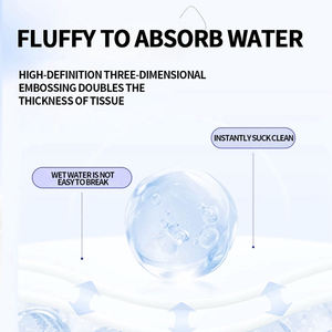 2025 Bestseller LangQiao Eco Bamboe Pulp Zacht Toiletpapier voor Thuisgebruik met Hoge Absorberende Eigenschappen Standaard Rol - Product Image 5