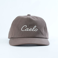 Gorra de 5 Paneles de Alta Calidad OEM, Diseño Personalizado de Alta Calidad, Visera Ligeramente Curvada, Gorras de Perfil Bajo con Logotipo Bordado Plano