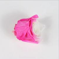 Fournisseur d'usine, vente en gros de 5-6 têtes de roses éternelles réelles, roses bicolores pour cadeau de la Saint-Valentin
