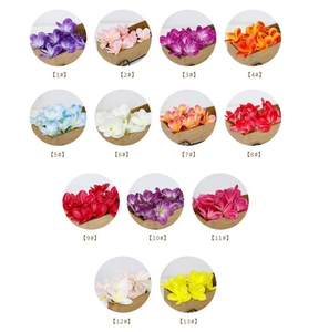 QSLHHP-992 Haute Qualité <span class=keywords><strong>Frangipanier</strong></span> Artificiel Oeuf Fleur <span class=keywords><strong>Plumeria</strong></span> <span class=keywords><strong>rubra</strong></span> - Product Image 2