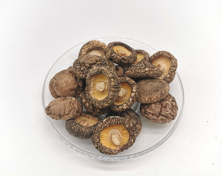 High Quality Dried Shitake Mushroom Shiitake Mushroom 3-5cm Wholesale Price