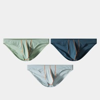 맞춤 브랜드 남성용 아이스 실크 팬티 로맨틱 삼각 팬츠 로우 웨이스트 섹시 브리프 고품질 남성용 복서 브리프