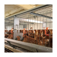 Nouvelles cages à poules pondeuses automatiques de haute qualité, type H, 3/4 niveaux, pour ferme avicole, en promotion