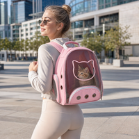 Sac à dos de transport pour animaux de compagnie, pliable et portable, avec fenêtre transparente en forme de capsule spatiale, motif silhouette de chat rose, maille respirante et œillets, idéal pour les voyages et les randonnées