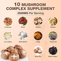 Bonbons Gélifiés aux Vitamines en Forme de Champignons OEM/ODM pour Adultes - Stimulant Cérébral, Soutien Immunitaire, Soulagement du Stress et Amélioration de la Concentration