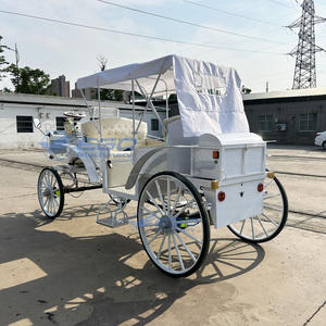 Chariot électrique tout-terrain à quatre roues en acier, modèle 2025, neuf et de haute qualité, idéal pour les princesses ou les familles royales, à prix abordable - Product Image 6