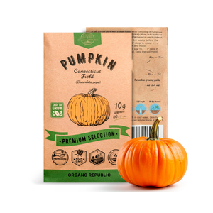 <span class=keywords><strong>เมล็ด</strong></span>พันธุ์ฟักทองคอนเนตทิคัตแบบแพ็คสำเร็จรูป - กระดาษเกรดอาหารที่เป็นมิตรกับสิ่งแวดล้อมสำหรับ<span class=keywords><strong>ปลูก</strong></span>ผักในสวนที่บ้าน - Product Image 1