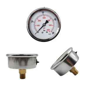 Stabile Leistung Diesel zylinder Petroleum Pointer Manometer
