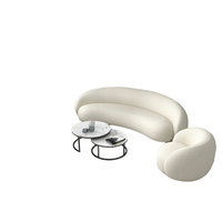 Ensemble de canapé nordique meubles salon moderne canapé salon forme incurvée créatif agneau velours canapé hôtel Villa canapé simple chaise