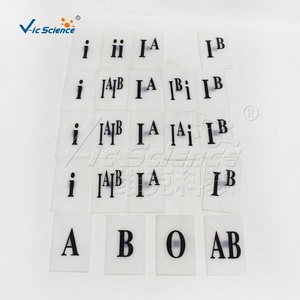 데모 아보 혈액형 시범 모델 혈액형 유전자 모델 의료 교육 보조 모델 과학 - Product Image 2