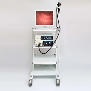 Factory Price Video Medical Equipment Endoscopy Machine Camera System Endoscope Gastroscope And Colonoscope
