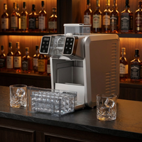 Machine à glaçons et à neige 2-en-1 pour bureau, hôtel, maison, bar, vestiaire, hall d'entrée, avec compresseur silencieux, autonettoyante, 150W, à poser sur comptoir