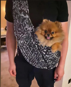 Borsa a Tracolla di Design per Animali Domestici, Lussuosa Borsa a Tracolla per <span class=keywords><strong>Cani</strong></span> <span class=keywords><strong>e</strong></span> <span class=keywords><strong>Gatti</strong></span> di Piccola <span class=keywords><strong>e</strong></span> Media Taglia, Borsa Premium per Negozi di Lusso - Product Image 2