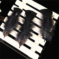 Plat 50pc paquet noir longue plume de dinde pour bricolage artisanat cheveux Costume pêche accessoire attachant matériel ornement frange décor